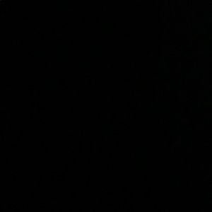 Meet your Posher, Shavia